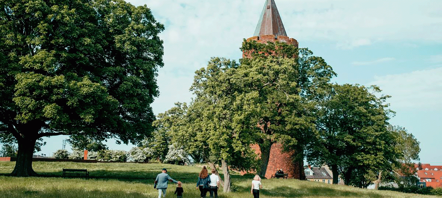 Gåsetårnet