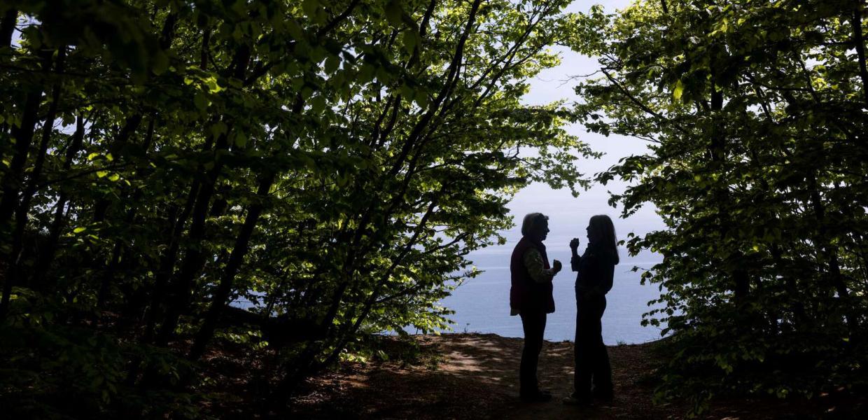 Mønumental - Minna Gross