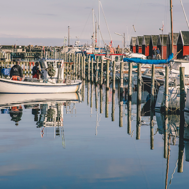 Rødvig havn